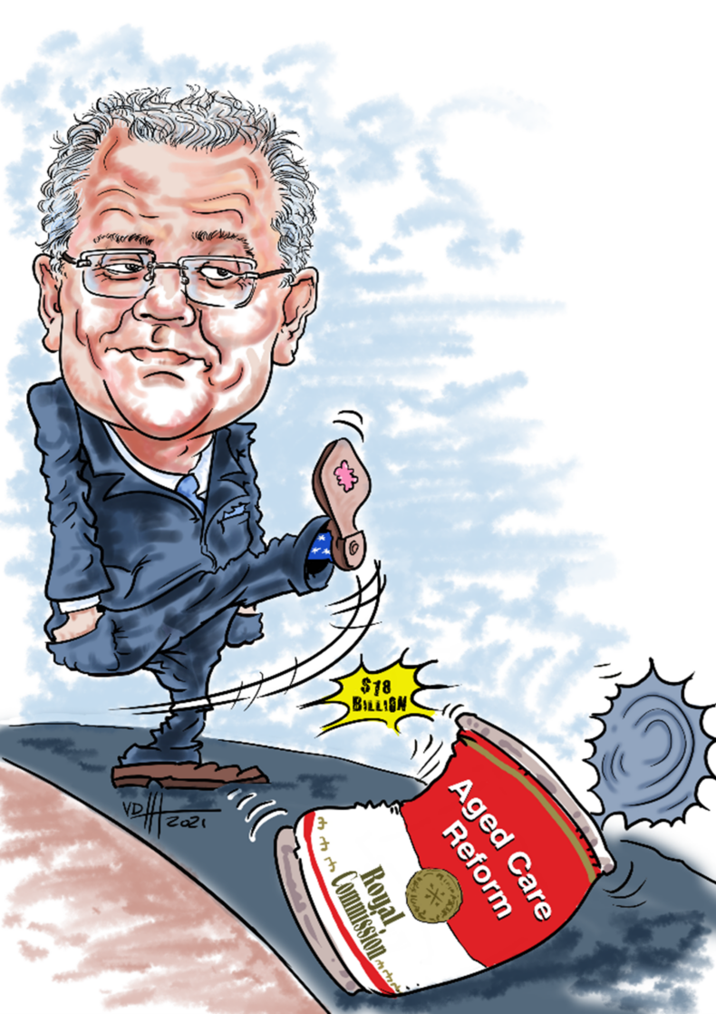 Budget 21/22 Aged Care Renovation or Rebuild?