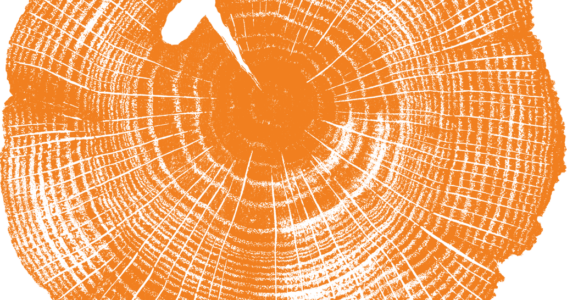 The Board Pack FY22 – Q3 Election Issue