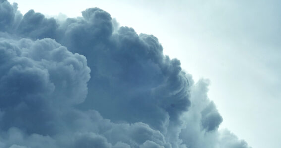 ‘In a Nutshell’ – Eye of the Storm:  ASX Results and Federal Court Decision