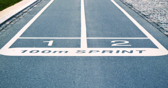 ‘In a Nutshell’ – A New Race