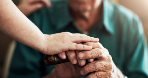 In A Nutshell – Race for Market Dominance