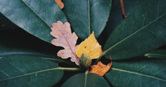 Under the Spotlight – Mergers and Acquisitions In a New Climate