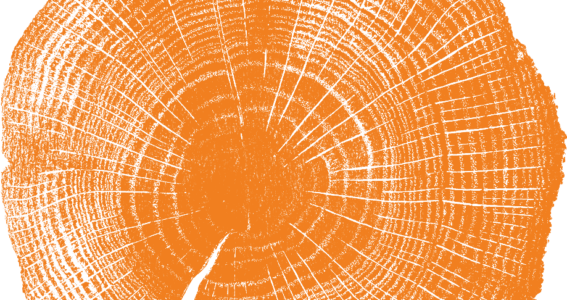 Urgent Call for Action