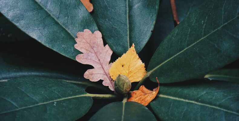 Under the Spotlight – Mergers and Acquisitions In a New Climate