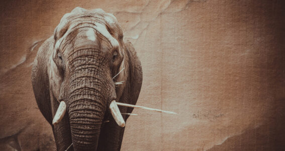 ACSA: People – Our Most Valuable Resource