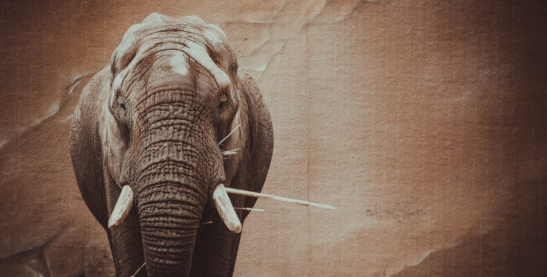 ACSA: People – Our Most Valuable Resource