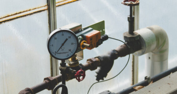 ‘In a Nutshell’ – Under Pressure