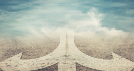 The Board Pack – Quarter 1 of FY25