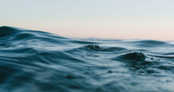 ‘In a Nutshell’ – Uncharted Waters