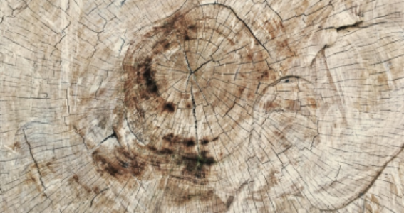 New Zealand Aged Residential Care Financial Performance Study – Summary of Findings