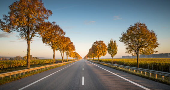 Out in Front – Making the New Standards Matter