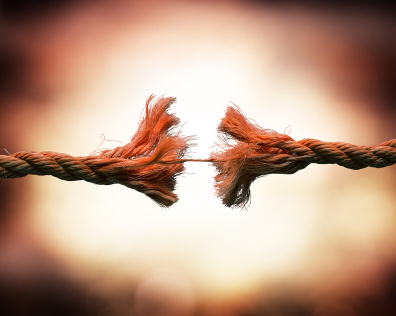 ‘In a Nutshell’ – Make or Break
