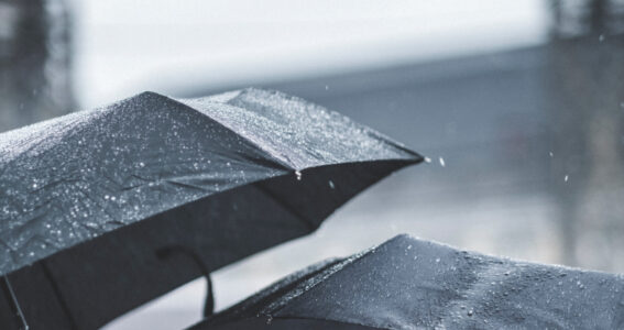 ‘In a Nutshell’  – Weathering the Storm