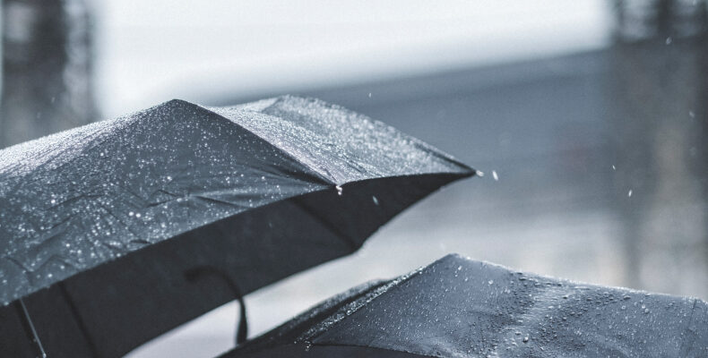 ‘In a Nutshell’ – Weathering the Storm