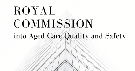 Royal Commission – Cam Ansell, Witness Appearance
