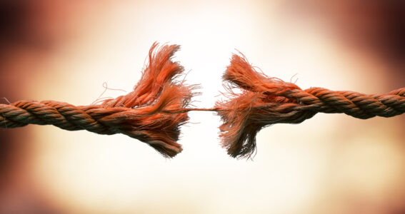 ‘In a Nutshell’ – Make or Break